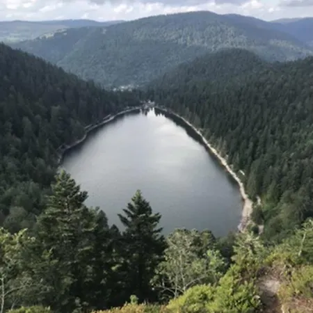 Appartement La Bresse La Bresse