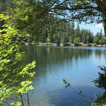 Appartement La Bresse * La Bresse