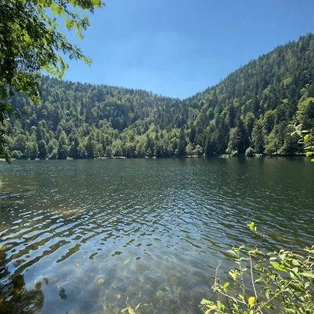 Appartamento Appartement La Bresse *