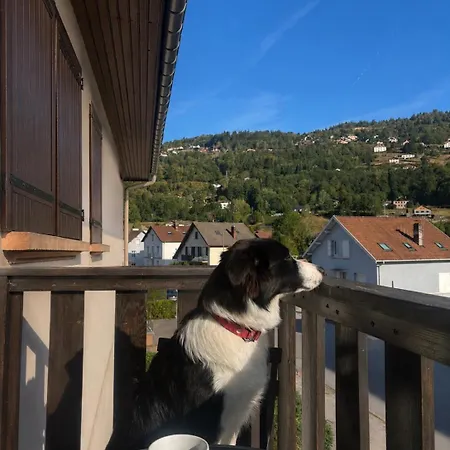 Appartement La Bresse Apartment