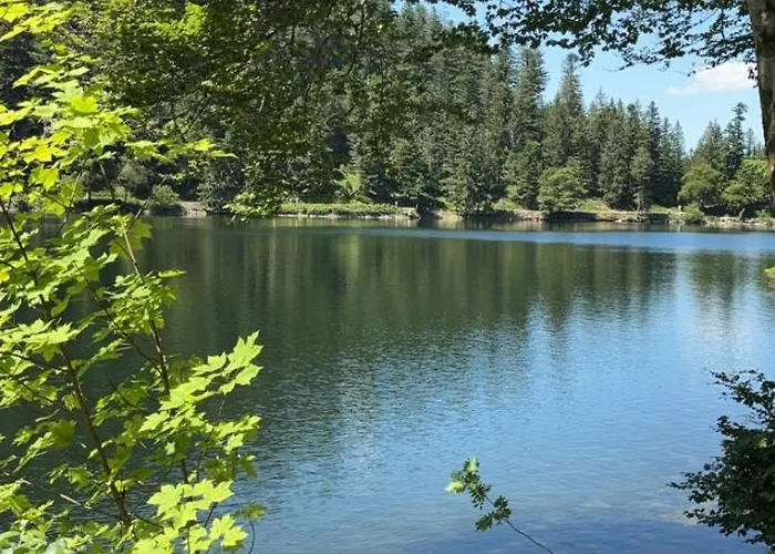 Appartement La Bresse * La Bresse