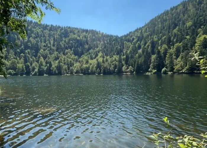 Apartment Appartement La Bresse *