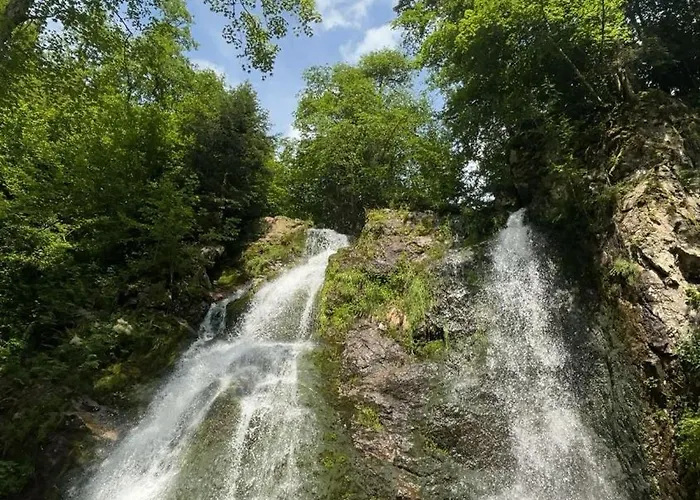 Apartment Appartement La Bresse La Bresse